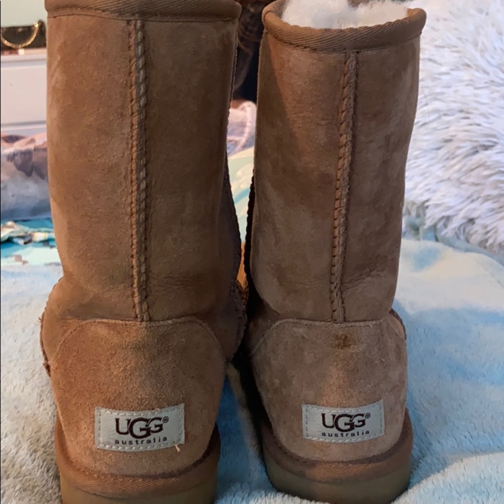 Classic short ugg boots